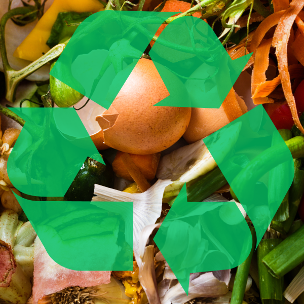 Try before you buy: weighing up the pros and cons of electric waste collections